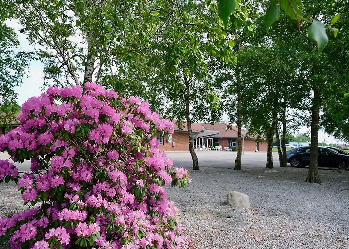 Lynggaarden 3* Χέρνινγκ